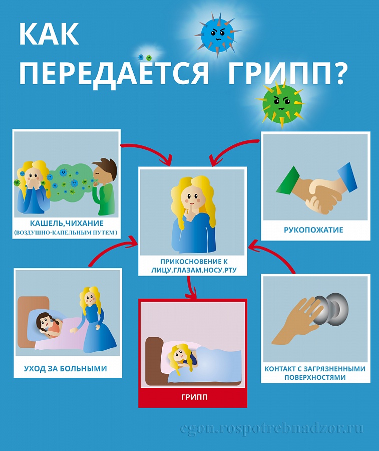Информирование населения о мерах профилактики гриппа и ОРВИ (Роспотребнадзор)